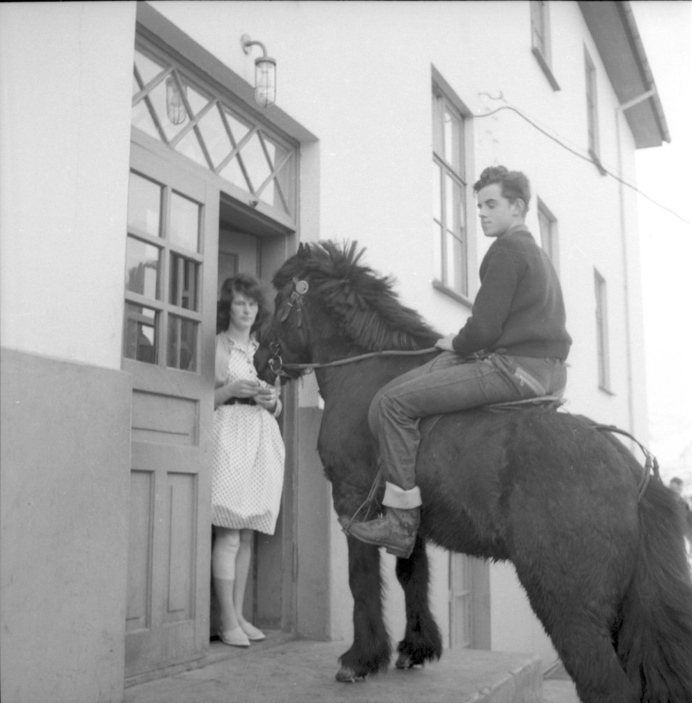 Ljósmyndagreining í febrúar