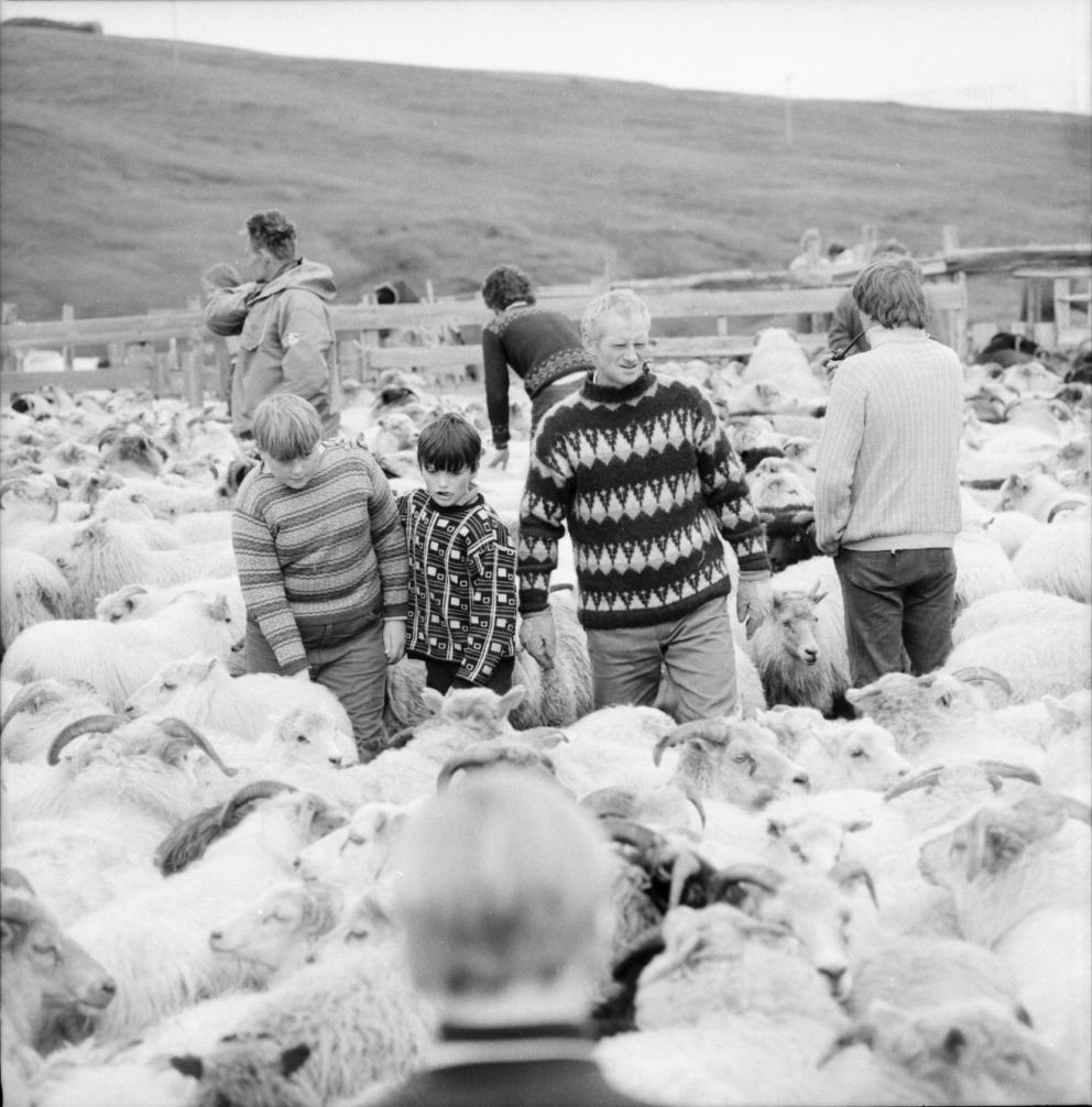 Ljósmyndagreining í september