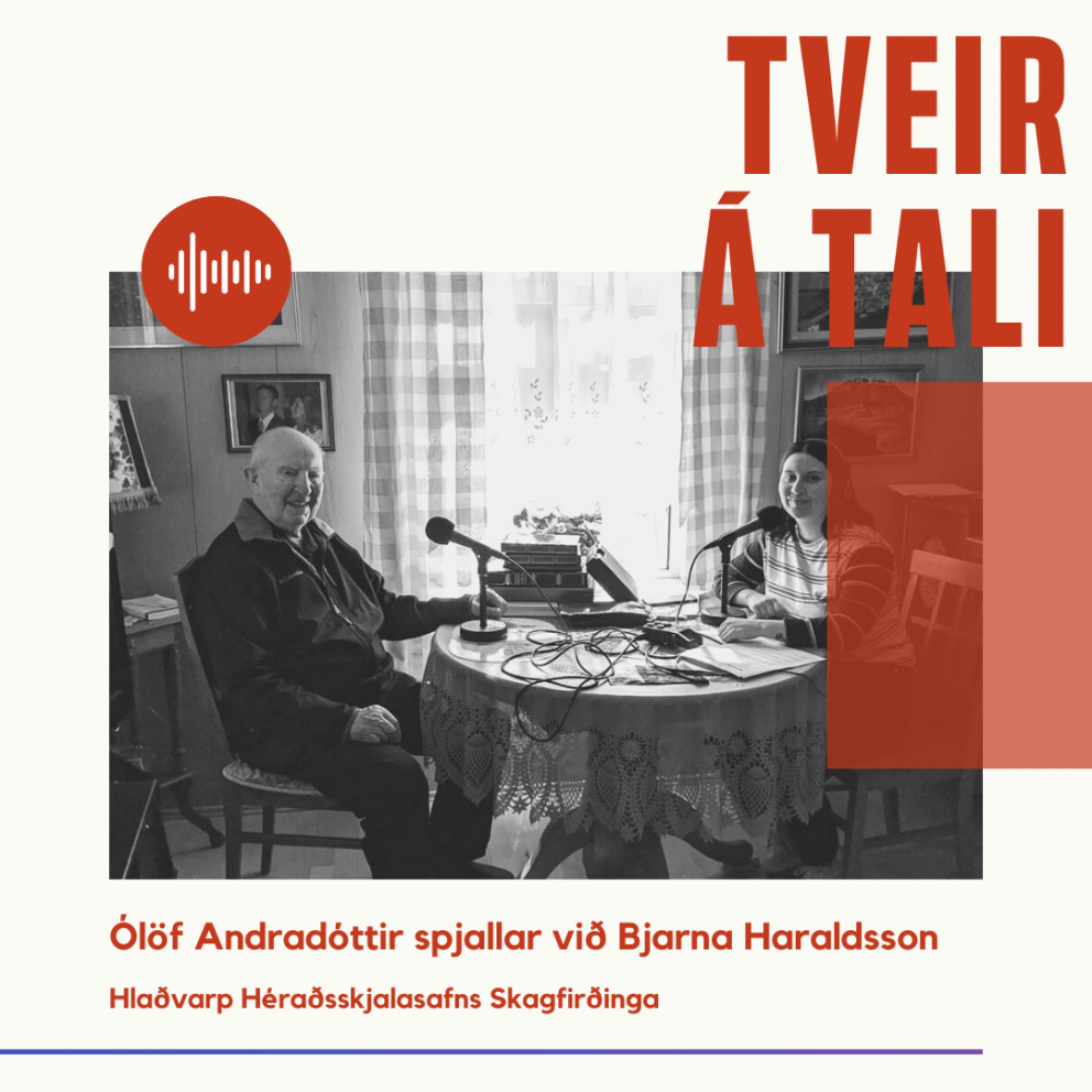 Tveir á tali - Bjarni Haraldsson tekinn tali