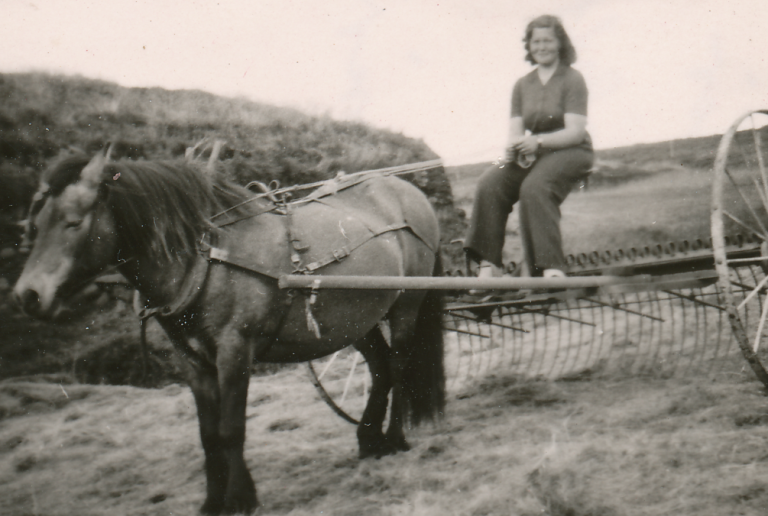Lokun vegna sumarleyfa