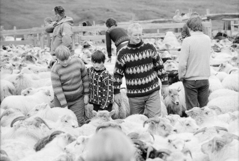 Ljósmyndagreining í september