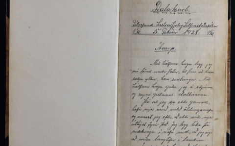 Dalakarl - stafrænt afrit