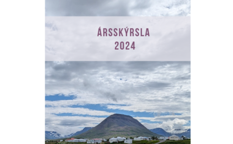 Ársskýrsla 2024